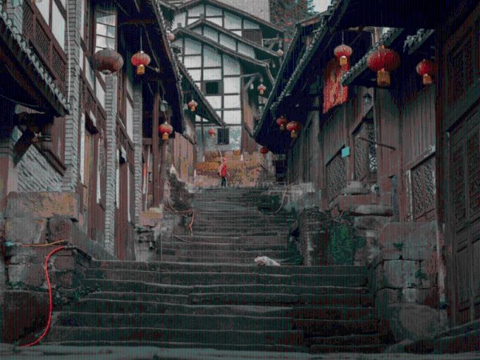 狗狗总上地毯怎么办